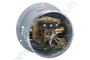 Double Bellows Differential Pressure Switch